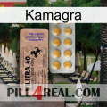 Kamagra 41